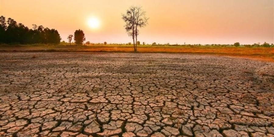 تأثير ظاهرة إلـ نينيو 2026 على مصر.. هل ترتفع الحرارة؟