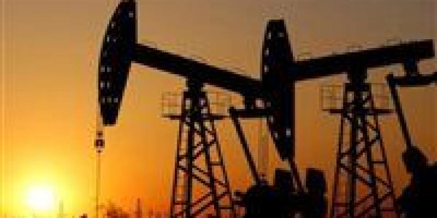 ما تأثير اضطراب مضيق هرمز على أسواق الطاقة وسلاسل الإمداد العالمية؟.. المدير التنفيذي للغرفة الدولية للشحن تُجيب