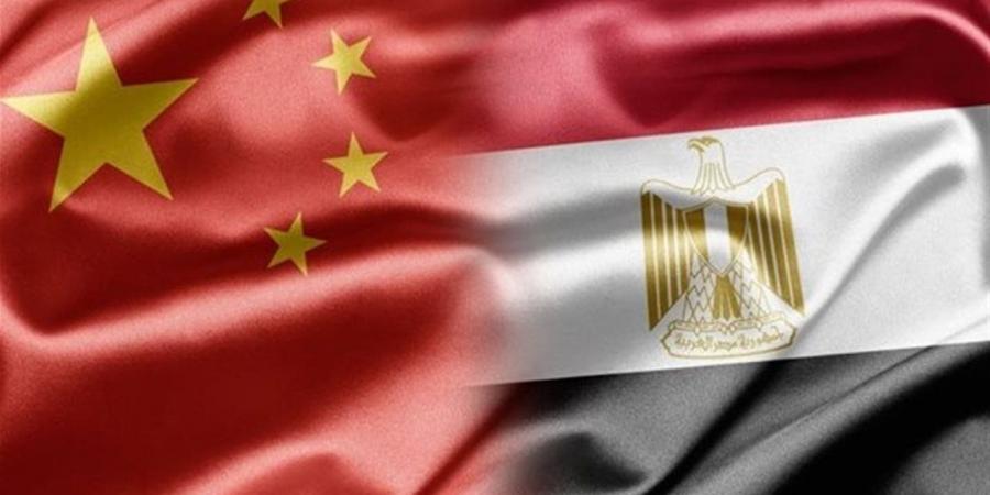 منجي علي بدر: إعفاء الصين يفتح فرصًا واسعة أمام مصر لزيادة الصادرات