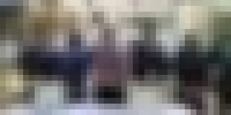 درك البليدة يطيح بشبكة سرقت الكباش المستوردة ببوفاريك