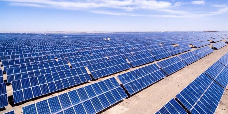 خبير اقتصادي: التحول للطاقة الشمسية قرار استراتيجي لمصر وسط التوترات