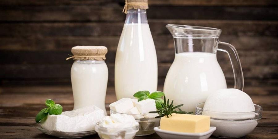 أسعار الألبان ومشتقاتها بمحافظة الغربية اليوم الثلاثاء 28 أبريل 2026