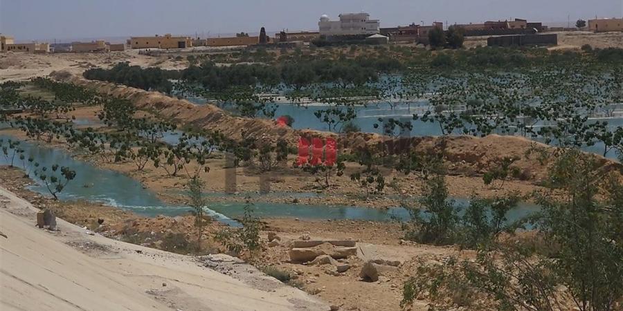 مياه الصرف تصل للزراعات بمدينة مرسى مطروح.. بث مباشر