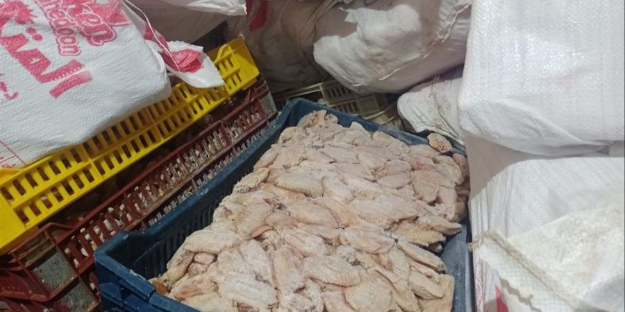 أسعار الدواجن والطيور في أسواق بورسعيد اليوم الثلاثاء 28 أبريل