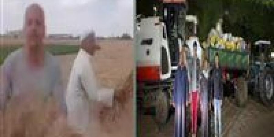 الداخلية تكشف تفاصيل سرقة محصول قمح من أرض زراعية بالشرقية