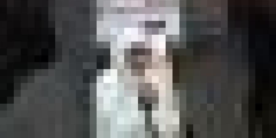 #مفتاح:"9 أفراد من عائلة مفتاح لعبو في جياسكا..وعائلتنا الأكثر تتويجا في الجزائر بـ30 لقب..فخر كبير"