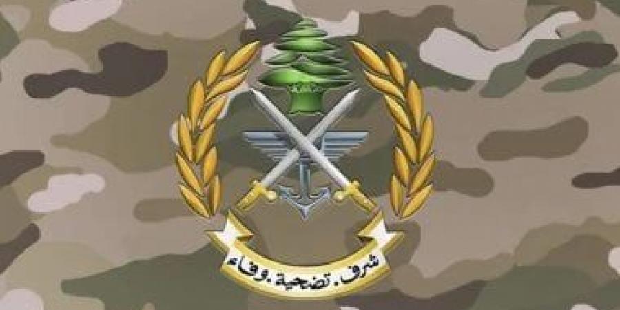 استشهاد عسكري لبناني وشقيقه فى غارة إسرائيلية بـ"خربة سلم"