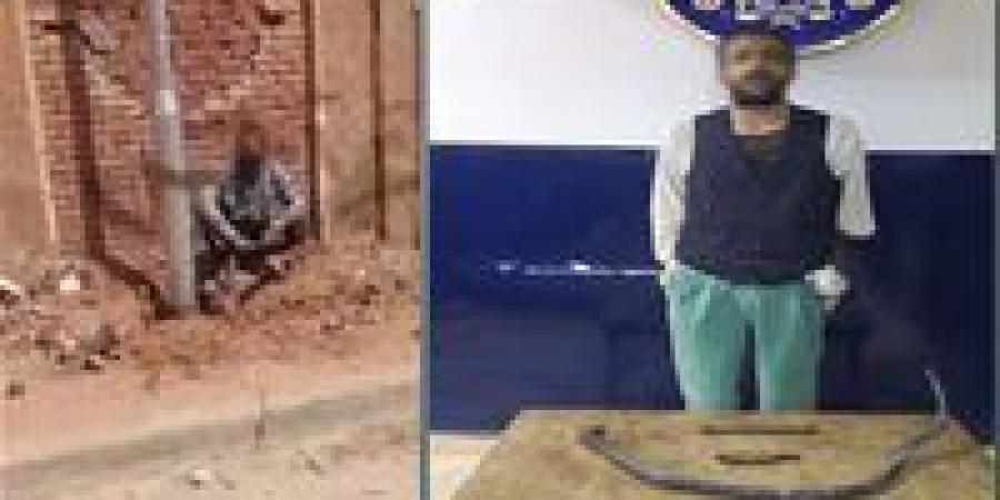 ضبط عاطل يسرق أسلاك الكهرباء الخاصة بأحد أعمدة الإنارة في بورسعيد