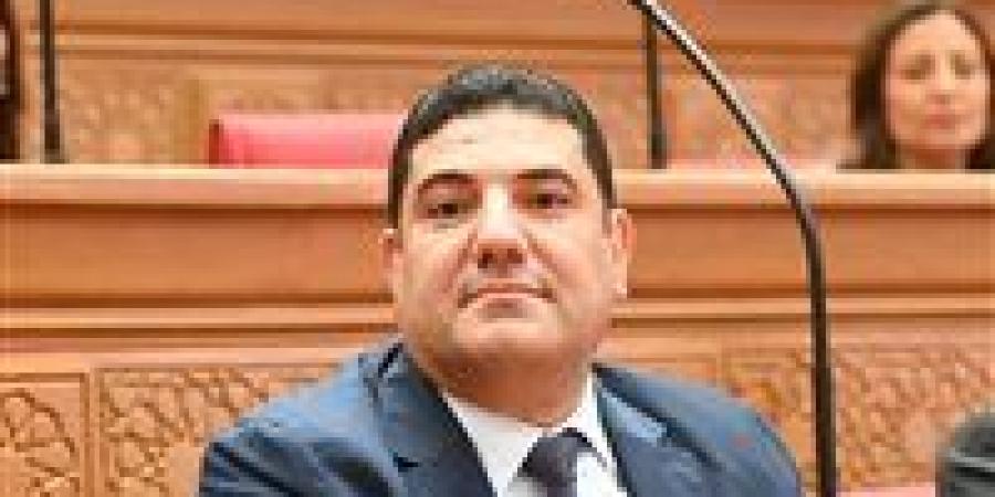 أحمد عبد المجيد: لقاء الرئيس السيسي برئيس جامعة هيروشيما خطوة استراتيجية لترسيخ تعليم عصري قائم على التكنولوجيا والابتكار