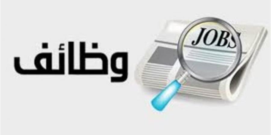 بوابة الوظائف الحكومية 2026.. خطوات التقديم على الوظائف عبر موقع الجهاز المركزي للتنظيم والإدارة