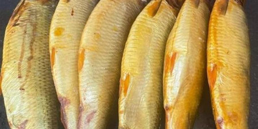 أسعار الفسيح والرنجة في أسواق محافظة الغربية اليوم الخميس 30 أبريل 2026