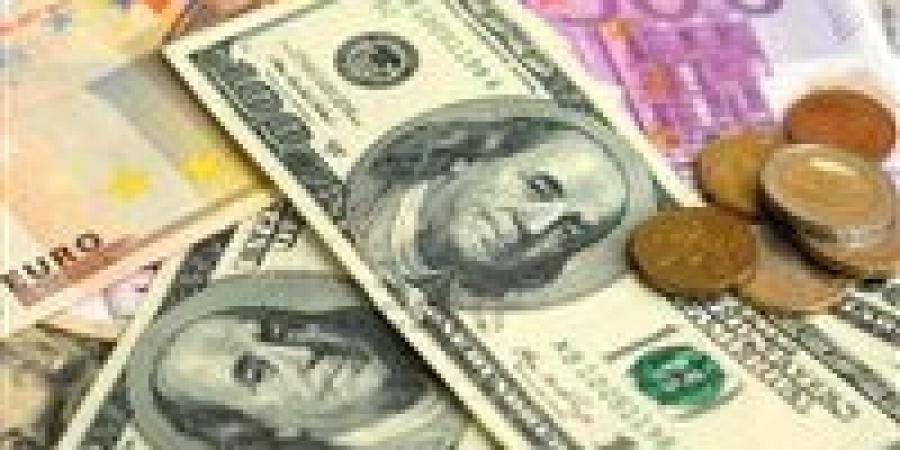 تحويلات المصريين بالخارج طوق النجاة للاقتصاد.. نمو قوي يعزز صلابة الاحتياطي النقدي