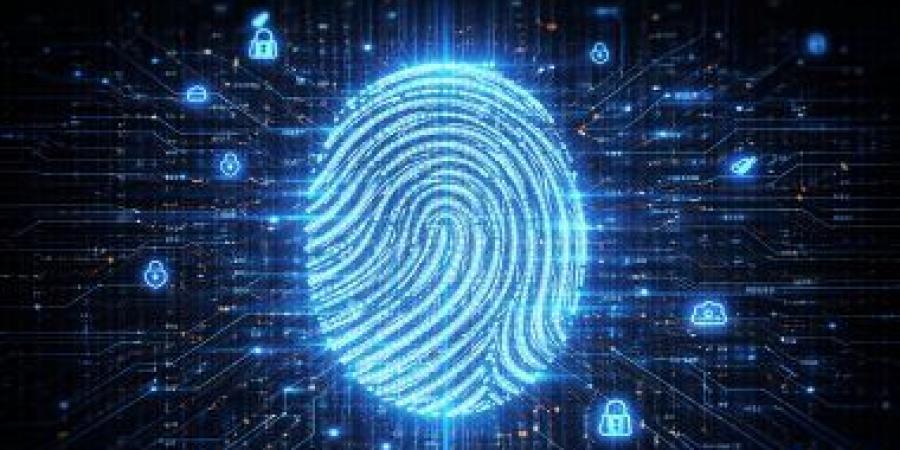 لماذا يجب عليك مسح بياناتك الشخصية وتقليل بصمتك الرقمية؟