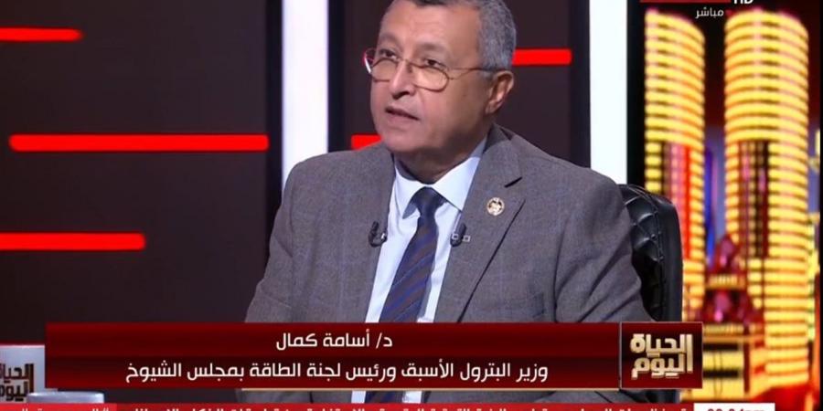 أسامة كمال: الاستثمار في البحث والتنقيب بديل أوفر من استيراد الغاز (فيديو)