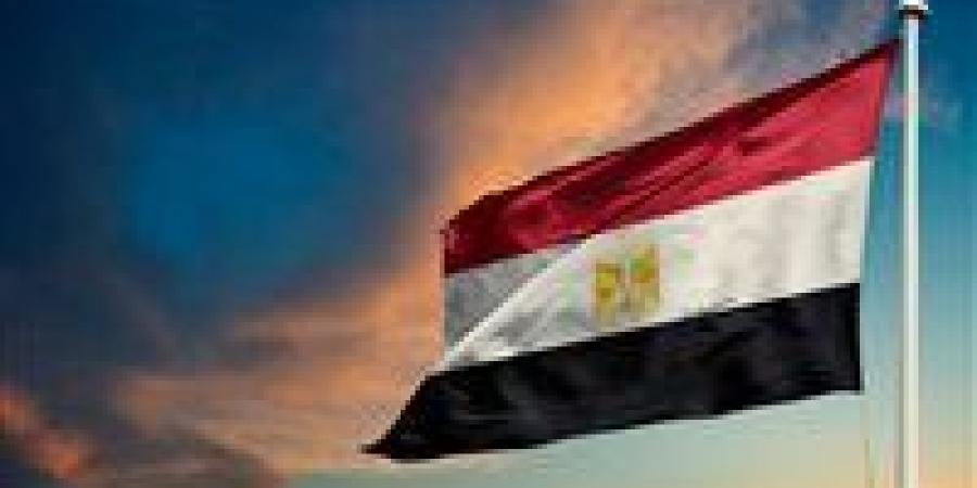 مصر: أمن البحرين ودول الخليج جزءاً لا يتجزأ من الأمن القومي المصري