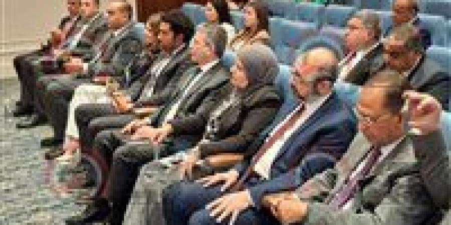 رئيس جهاز حماية المستهلك من البرلمان: مصر بها الان 10 مصانع للهواتف المحمولة بباقة إنتاجية من 20 إلى 25 مليون هاتف