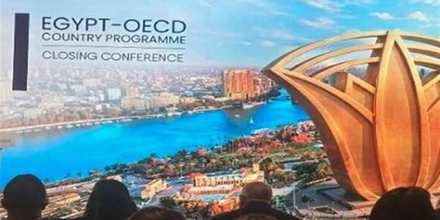 خبير اقتصادى: البرنامج القطري يعكس الجدارة الائتمانية لمصر