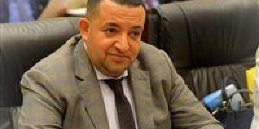 النائب تامر عبد القادر : المعاشات حق وليست منحة.. ونرفض مشروع القانون بصيغته الحالية