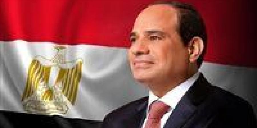الأرقام تكشف.. 10 ملايين أجنبي في مصر دون استغلال سياسي