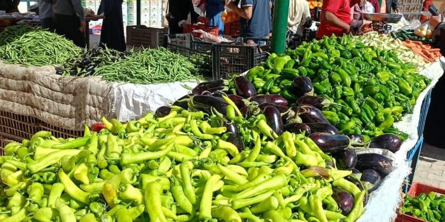 أسعار الخضروات في الوادي الجديد اليوم الثلاثاء 5 مايو 2026
