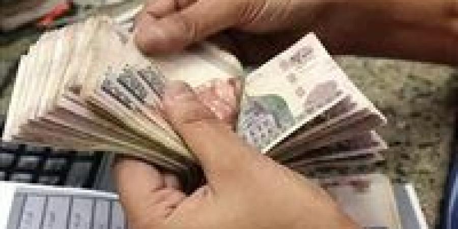 عطل مؤقت أم تحول جذري؟.. كواليس أزمة سيستم التأمينات وموعد عودة الخدمة لطبيعتها