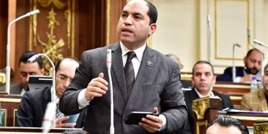 نائب: نوافق على الحساب الختامي للموازنة دعمًا للدولة في مواجهة آثار التضخم العالمي