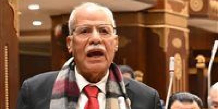 العربي الناصري: نحتاج اصطفافًا عربيًا موحدًا لمواجهة الاعتداءات على الدول العربية وحماية الأمن القومي