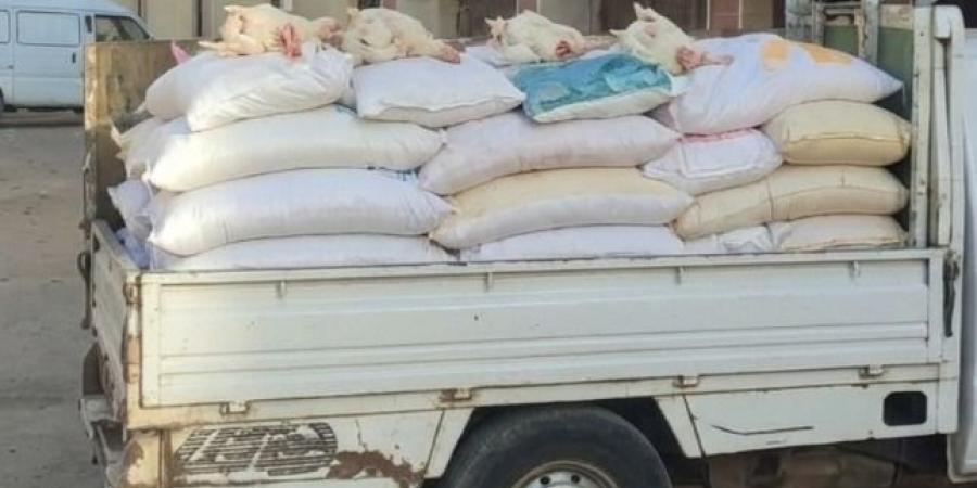 مديرية تموين الفيوم تضبط 2.95 طن دجاج نافق قبل وصولها إلى مصنع مصنعات لحوم شهير