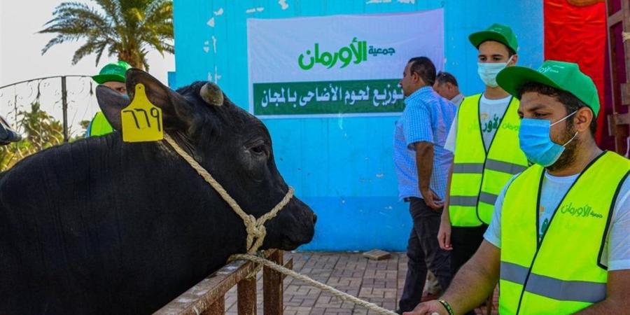 موعد عيد الأضحى 2026 في الأردن.. متى أول أيام العيد الكبير؟