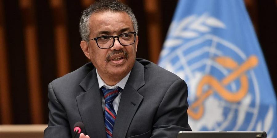 مدير "الصحة العالمية": خطر انتقال هانتا من السفينة المصابة "منخفض"