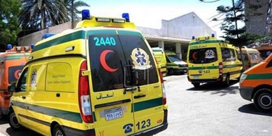 إصابة طالب على يد زميله ووالده في مشاجرة أمام مدرسة فيديمين الثانوية بالفيوم
