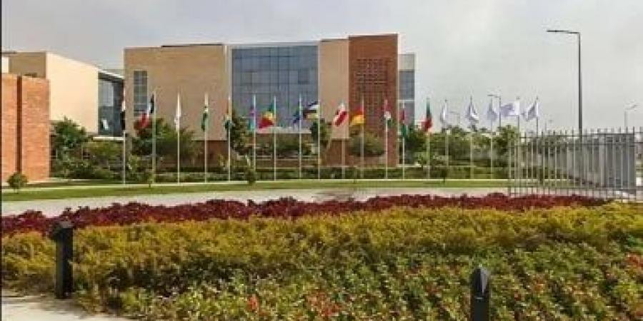سنجور.. جامعة تصنع جسور الثقافة بين مصر والعالم الفرنكوفونى