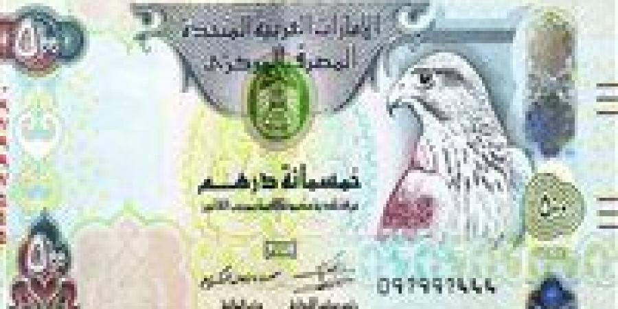 الدرهم الإماراتي يتحرك أمام الجنيه.. آخر الأسعار