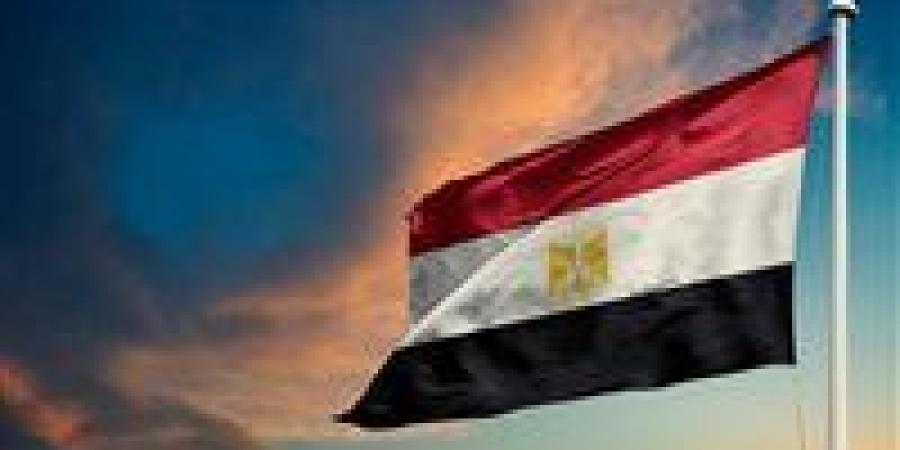 مساعد وزير الخارجية: قانون فرنسا لإعادة الآثار المهربة خطوة إيجابية تجاه أفريقيا
