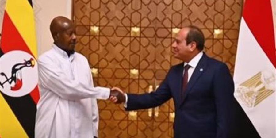 وفاء علي: مصر بوابة ذهبية لتعزيز التنمية والاستثمار في أفريقيا