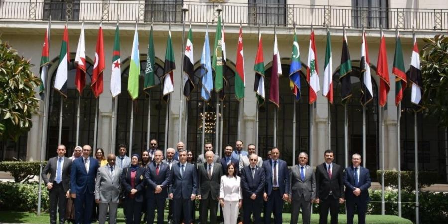 أبو الغيط يترأس اجتماع مجلس إدارة الصندوق العربي للمعونة الفنية للدول الإفريقية