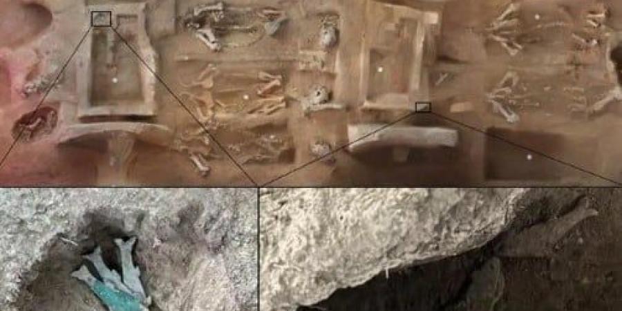 اكتشاف سمكة برونزية عمرها 2500 عام بمقابر صينية استخدمت فى طقوس الجنازة