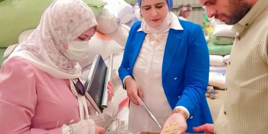 ضبط صاحب مخبز وإعدام ألبان وأسماك في حملات تموينية دمياط
