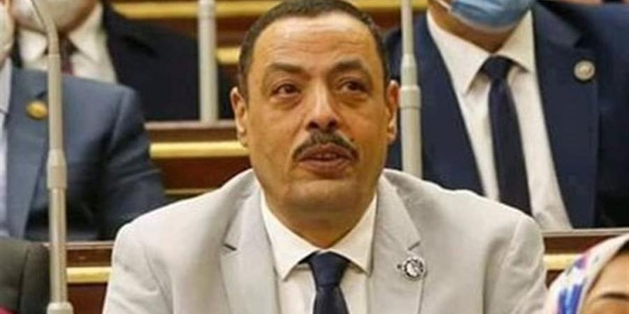 طلب إحاطة بالبرلمان بشأن فوضى التجارة الإلكترونية غير الرسمية عبر مواقع التواصل