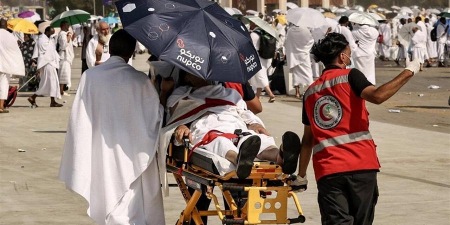 تدشن تطبيق إلكتروني لخدمة حجاج السياحة المصريين هذا العام
