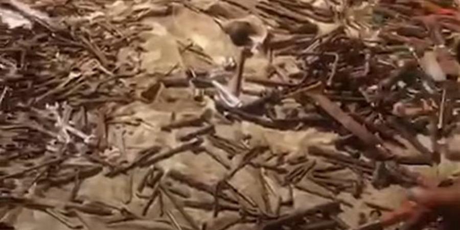 حلم "عبدالغفور البرعي".. حكاية أكبر فَرْشة خُردة في سوق الجمعة (فيديو)
