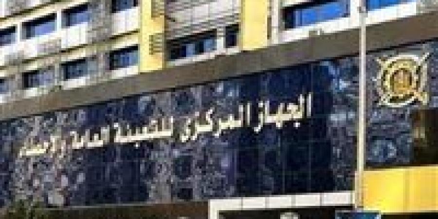 قفزة نسائية في سوق العمل.. الإحصاء: الإناث الأكثر اشتراكًا في التأمينات الاجتماعية خلال 2025