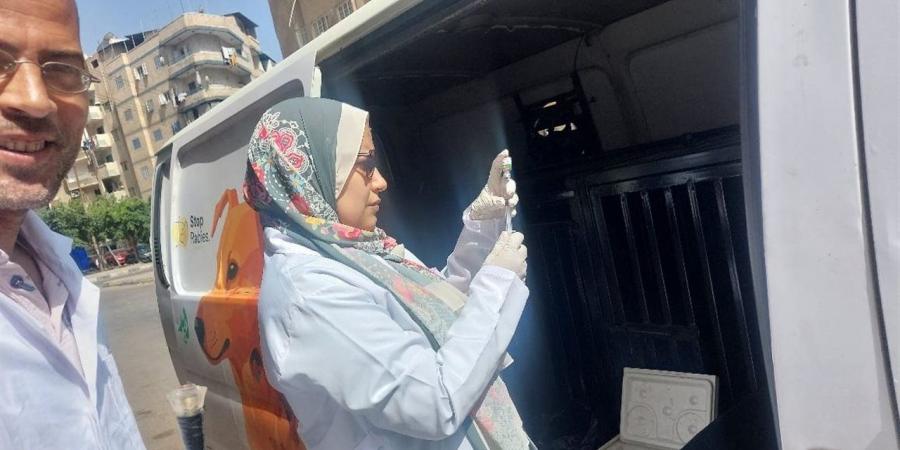تحصين 805 كلاب ضالة وإجراء أكثر من 60 عملية تعقيم خلال أبريل الماضى بالبحيرة