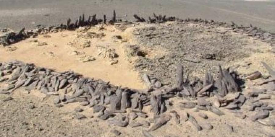 دوائر حجرية عمرها 6000 عام مدفونة في صحراء السودان تكشف عن ثقافة قديمة
