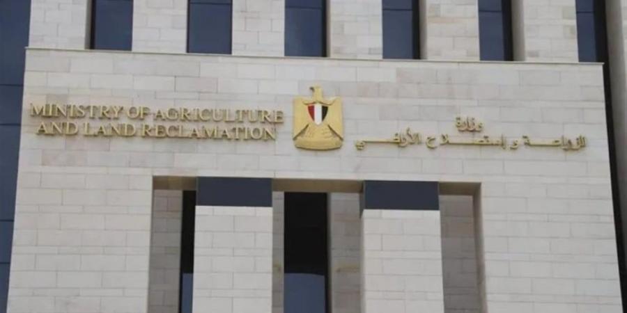 الزراعة: متابعة مكثفة لحصاد القمح وتجهيز الزراعات الصيفية بمحطة بحوث سخا
