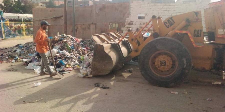 استجابة لشكاوى المواطنين.. شن حملات نظافة بقرية النخيل بالإسكندرية