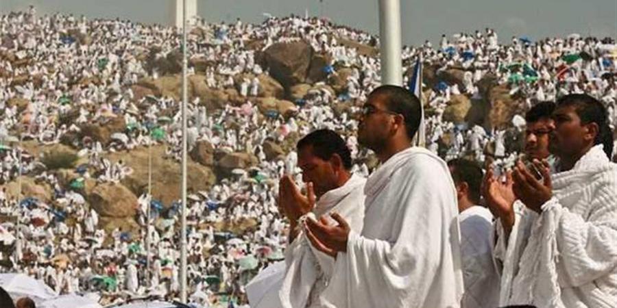 10 من قيادات الكهرباء يؤدون مناسك الحج.. و"عبدالشافي" يغادر الأربعاء