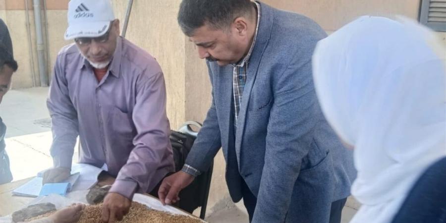 محافظ المنوفية: استمرار العمل الجاد لمنظومة توريد القمح
