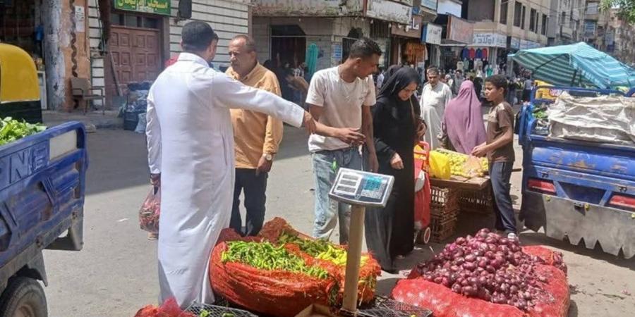 حملة مكبرة لإزالة الإشغالات غرب الإسكندرية