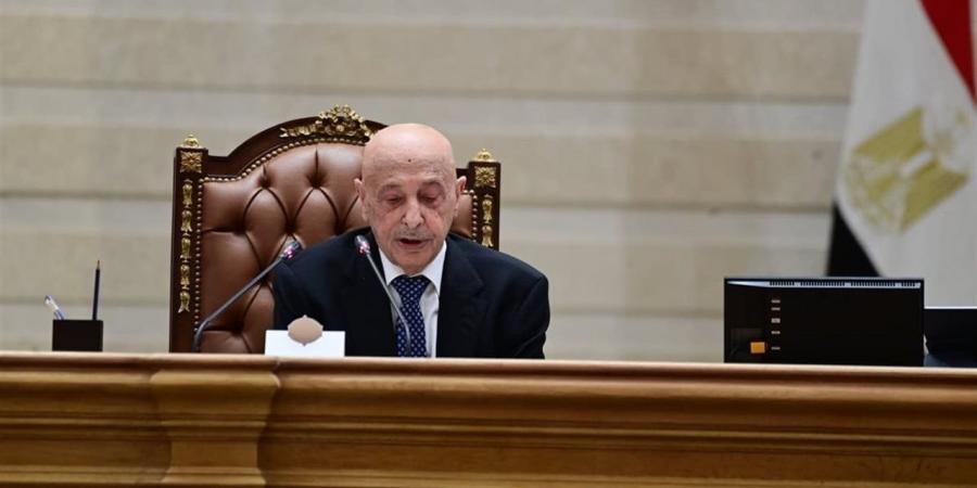 نواب: العلاقات المصرية- الليبية علاقات متجذرة تقوم على روابط الدم والنسب والثقافة والمصير المشترك